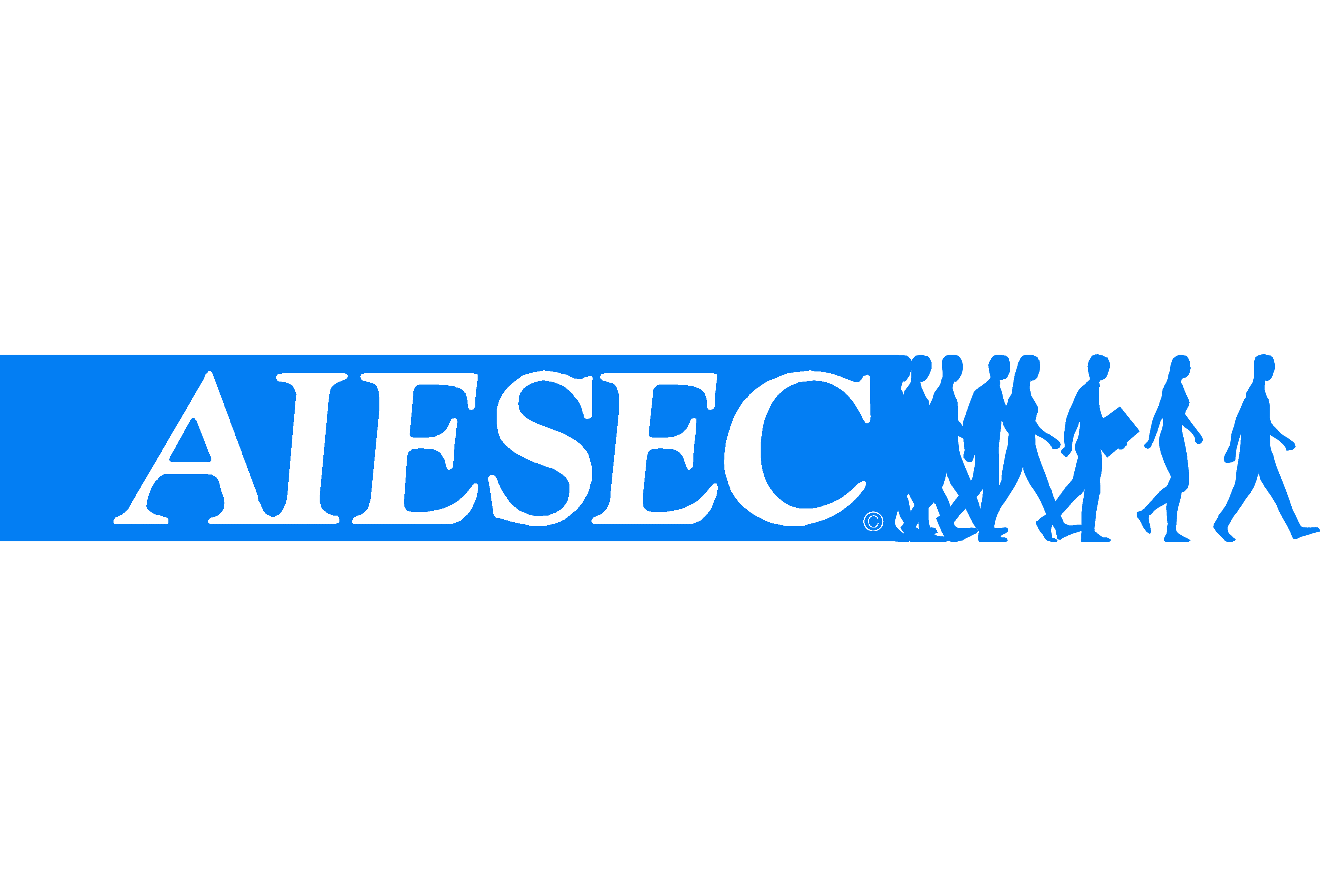 AIESEC partner